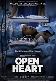 Open Heart (2013)