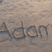 Adam
