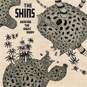 The Shins - Wincing the Night