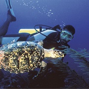 Turks and Caicos, UK