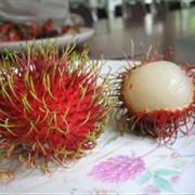 Rambutan