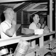 Shaving Makes Your Beard Grow Back Coarser