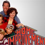 Michigan: "Home Improvement" (1991-1999)