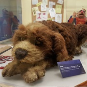 The Storyteller's Dog