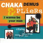 I Wanna Be Your Man - Chaka Demus