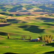 The Palouse