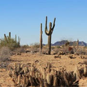 Cabeza Prieta National Wildlife Refuge