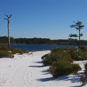 Topsail Hill Preserve State Park, Florida