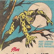 Leopard From Lime Street