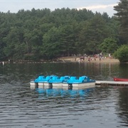 Cochituate State Park, Massachusetts