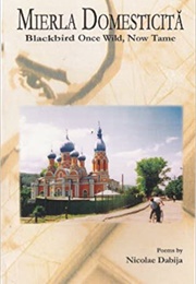 Mierla Domesticita: Blackbird Once Wild, Now Tame (Nicolae Dabija)
