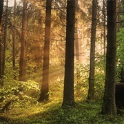 Labanoras / Asveyos, Regional Park, Lithuania