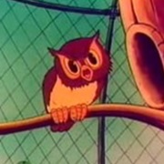 Owl (A Day at the Zoo)