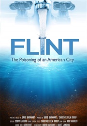 Flint: The Poisoning of an American City (2019)