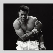 Impossible Is Nothing (Adidas)