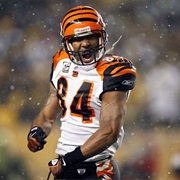 Tj Houshmandzadeh