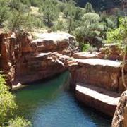 Coconino National Forest