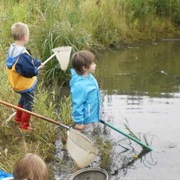 Catch Something With a Brailer