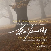 Janacek: In the Mists