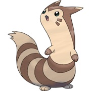 Furret