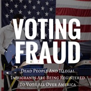 Millions of Undocumented Immigrants Illegally Voted in the Election.