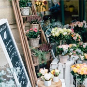 Flower Shop