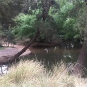 Yarrobil National Park (NSW)