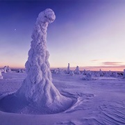 Riisitunturi National Park