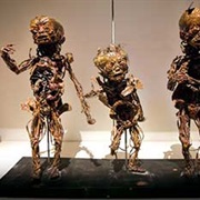 Musée Fragonard, Paris, France