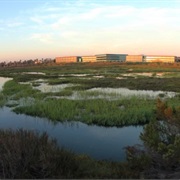 Sweetwater Marsh National Wildlife Refuge