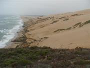 Nipomo Dunes-Point Sal Coastal Area (California)