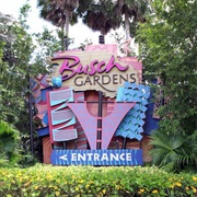 Busch Gardens, Tampa