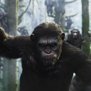 Dawn of the Planet of the Apes