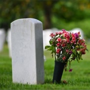 Lose Someone You Love