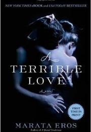 A Terrible Love
