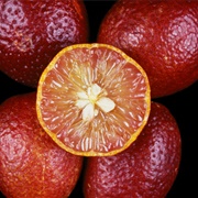 Blood Lime