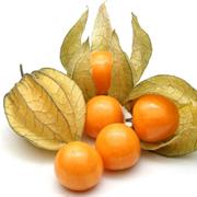 Cape Gooseberry
