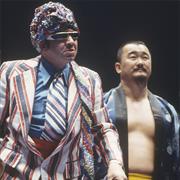 Mr. Fuji