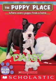 Puppy Place: Daisy (Ellen Miles)