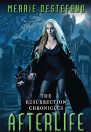 Afterlife (Merrie Destefano)