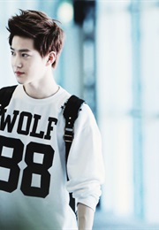 Juan Salvador Gaviota (Richard Bach)