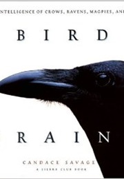 Bird Brains (Candace Savage)