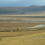 Mongolian-Manchurian Grassland