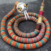 Bottlecap Snake