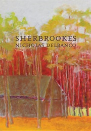 Sherbrookes (Nicholas Delbanco)