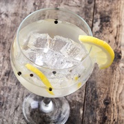 Gin and Tonic