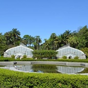 Jardim Botânico De São Paulo