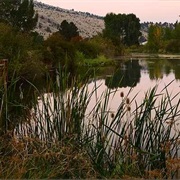 Clyde Holliday State Recreation Site, Oregon
