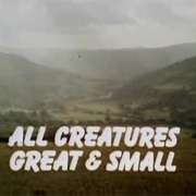 All Creatures Great and Small