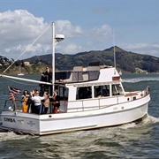 SF Boat Tour of Bay